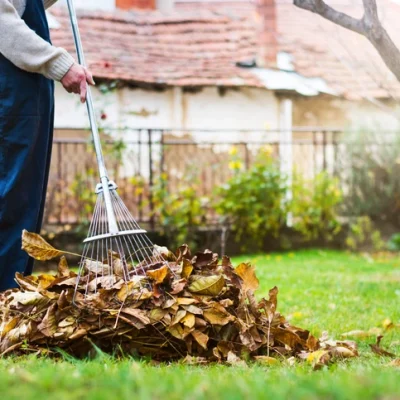 Seasonal Cleaning​